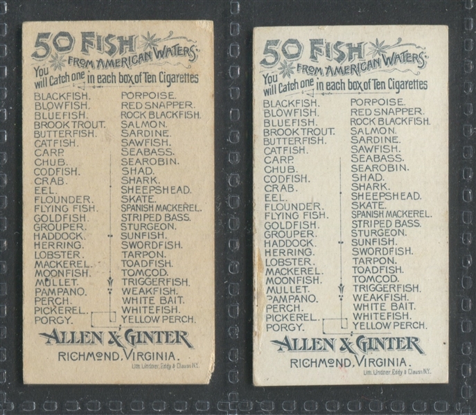 N8 Allen & Ginter Fish From American Waters lot of (5) With T407 ATC Fish