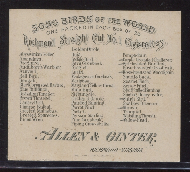 N42 Allen & Ginter Song Birds Lot of (3) Cards