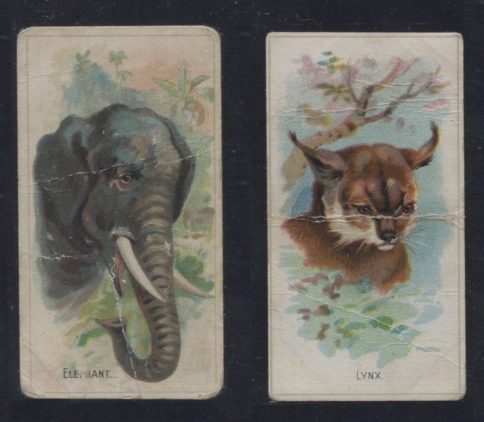 N-UNC Old Judge Cigarettes Wild Animals Lot of (2) Cards