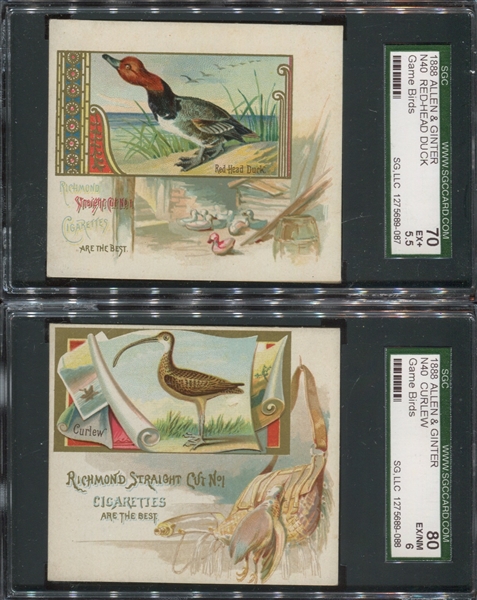 N40 Allen & Ginter Game Birds Lot of (2) Cards