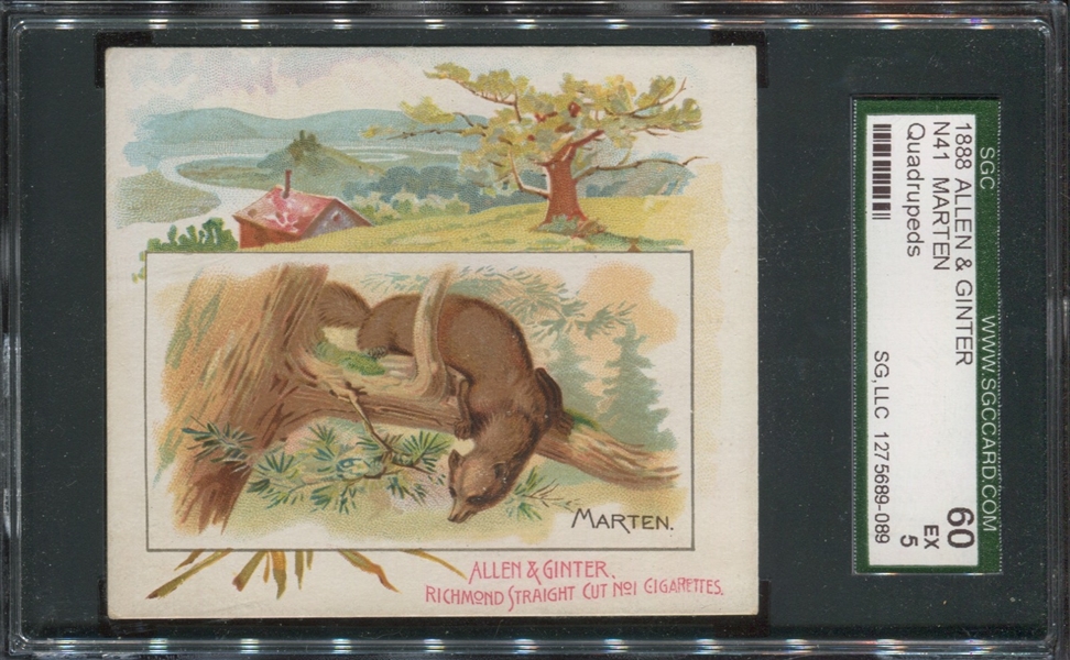 N41 Allen & Ginter Quadrupeds Marten SGC60 EX