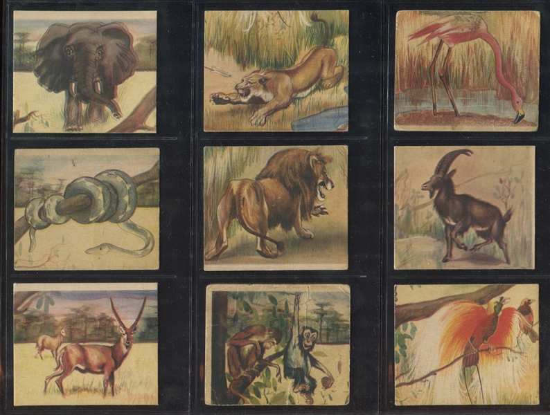 R6 National Licorice African Animal Jig Near Complete Set (23/24) Cards