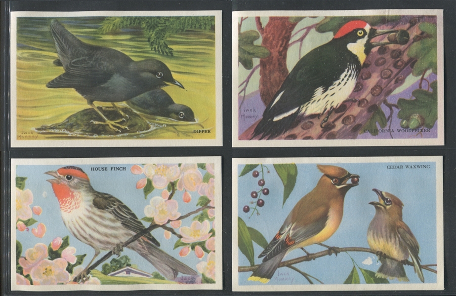 F274-3B Loma Linda Foods Beautiful Birds of the West Complete Set of (24) Cards