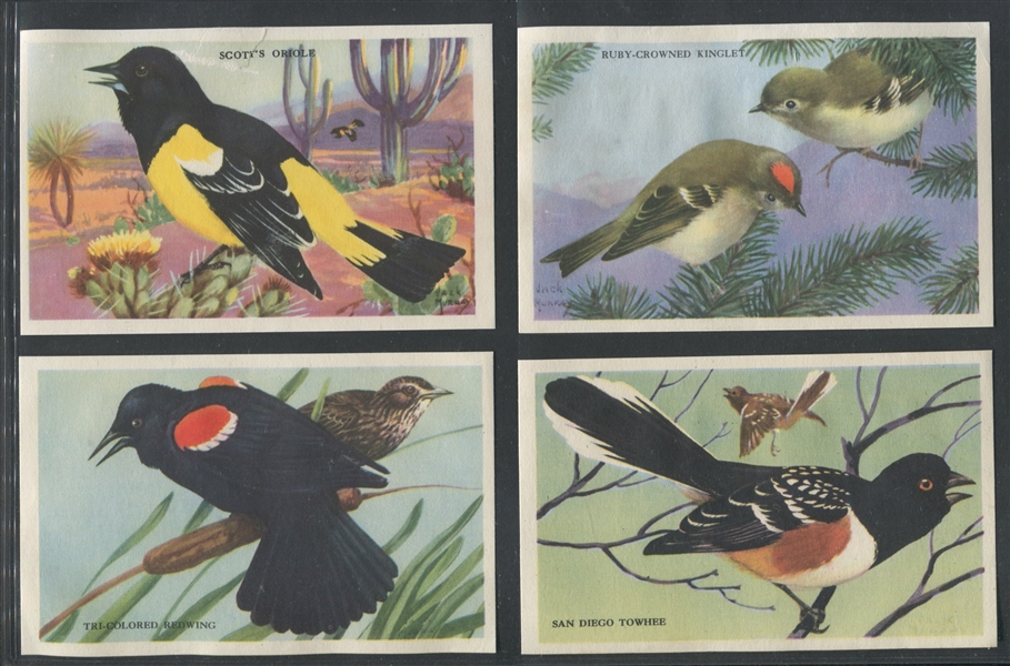 F274-3B Loma Linda Foods Beautiful Birds of the West Complete Set of (24) Cards