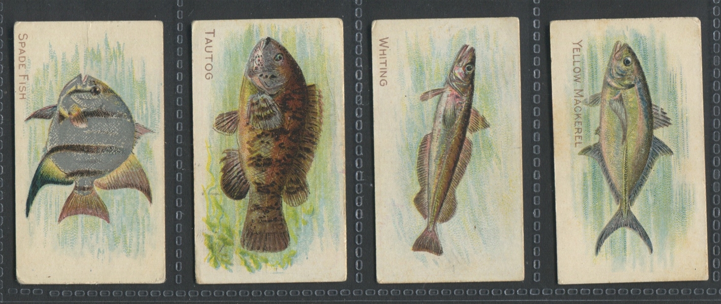 T58 Fish Series (Series II) Near Set (44/50) Cards