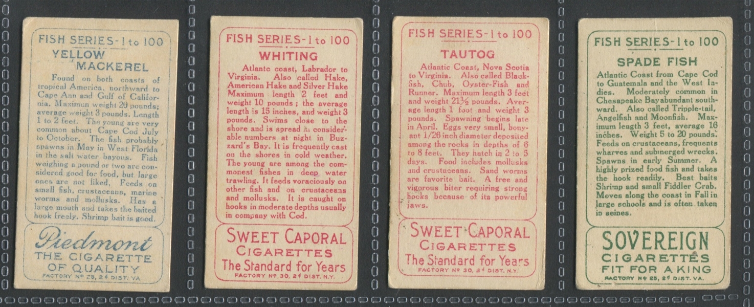 T58 Fish Series (Series II) Near Set (44/50) Cards