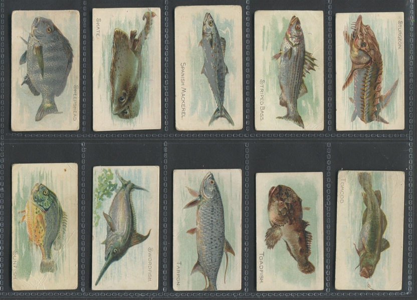 T58 Fish Series (Series I) Near Set (45/50) Cards