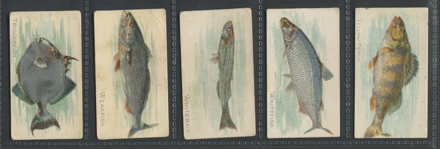 T58 Fish Series (Series I) Near Set (45/50) Cards