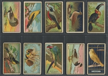 T42 Bird Series Mixed Back Complete Set of (100) Cards 