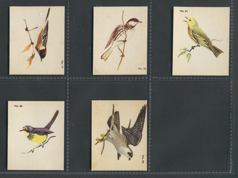 V339-2 Parkhurst Audubon Bird Cards Lot of (17) High Grade