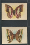 Mixed Lot of (3) Weber Bread Card with Butterflies