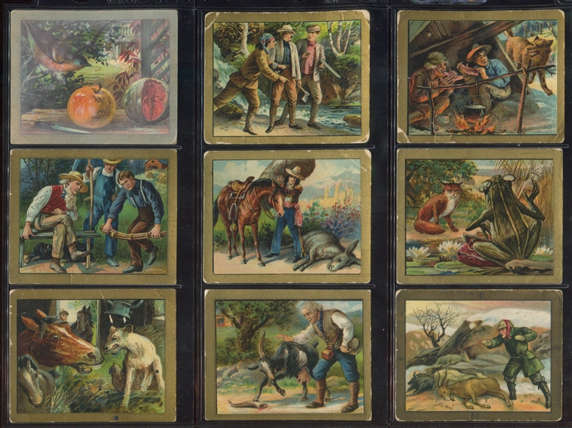 T57 Turkish Trophies Fable Series Lot of (51) Cards