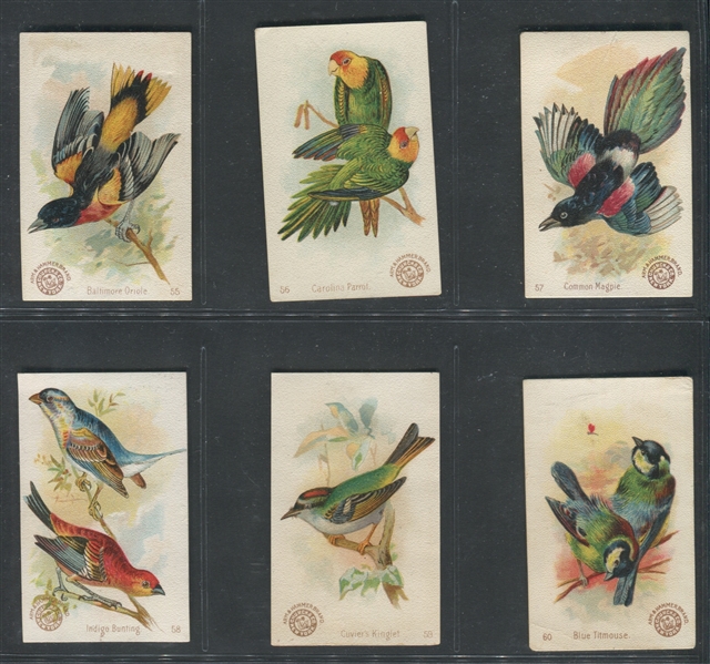 J2 Church & Dwight Useful Birds (New Series) Near Set of (59/60) Cards