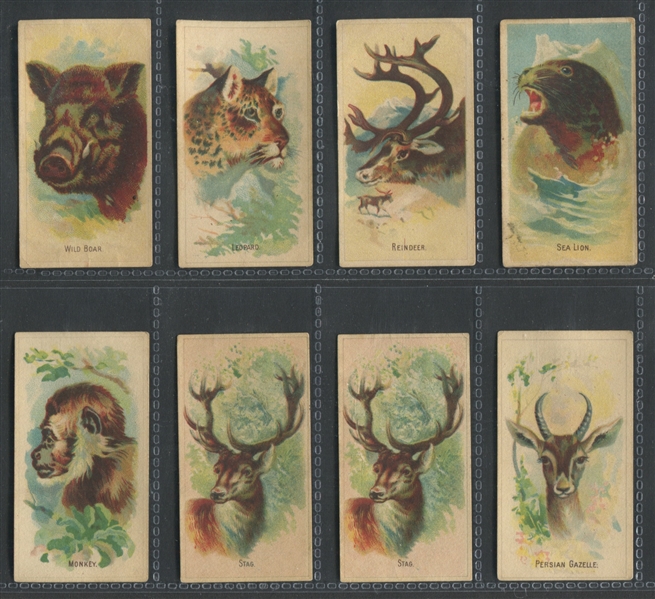 D8 Weber Baking Wild Animals of the World Lot of (11) Cards