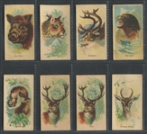 D8 Weber Baking Wild Animals of the World Lot of (11) Cards