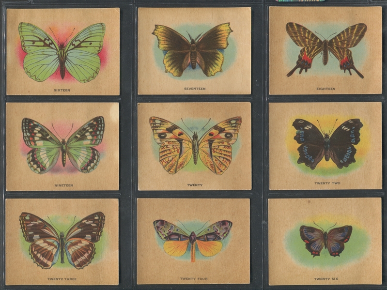 FC2 Harry Horne Butterflies Near Set of (37/50) Cards