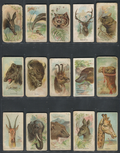 E29 Philadelphia Confections Zoo Caramels (Like A&G Wild Animals) Complete Set of (50) Cards