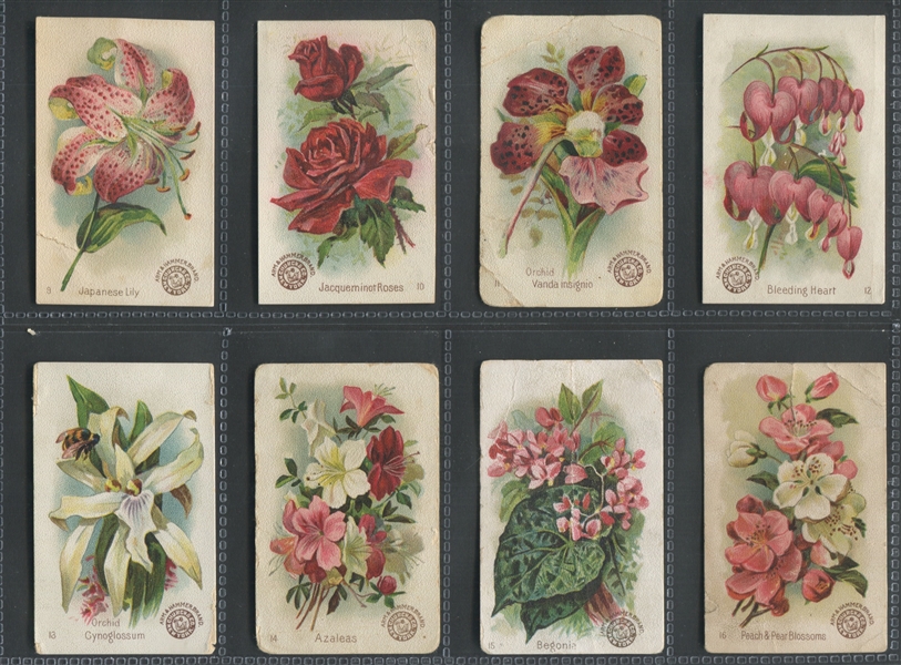 J16 Church & Dwight Beautiful Flowers Complete Set of (60) Cards