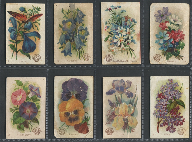 J16 Church & Dwight Beautiful Flowers Complete Set of (60) Cards