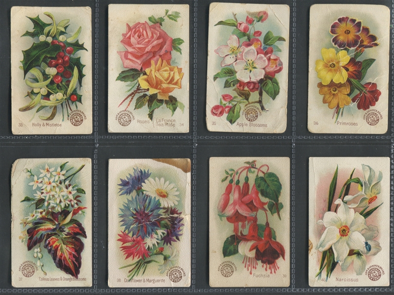 J16 Church & Dwight Beautiful Flowers Complete Set of (60) Cards