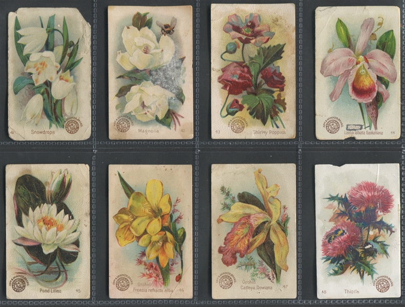 J16 Church & Dwight Beautiful Flowers Complete Set of (60) Cards