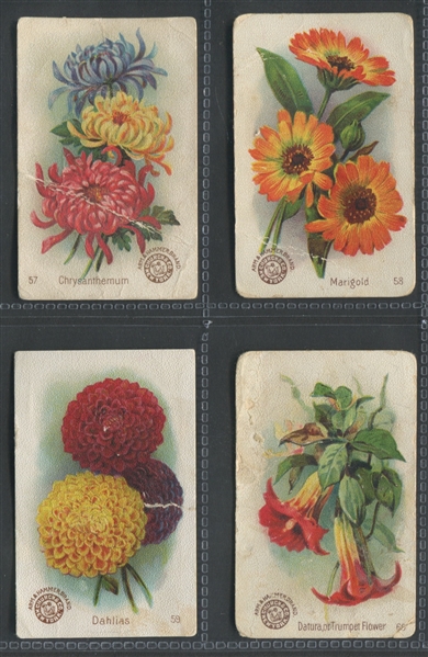 J16 Church & Dwight Beautiful Flowers Complete Set of (60) Cards