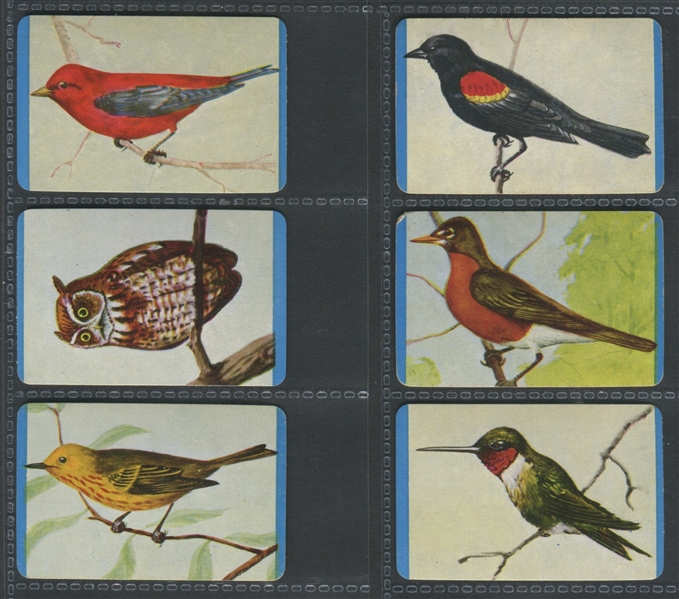 F279-3 Quaker Pack-O-Ten Bird Cards Complete Set of (27) Cards