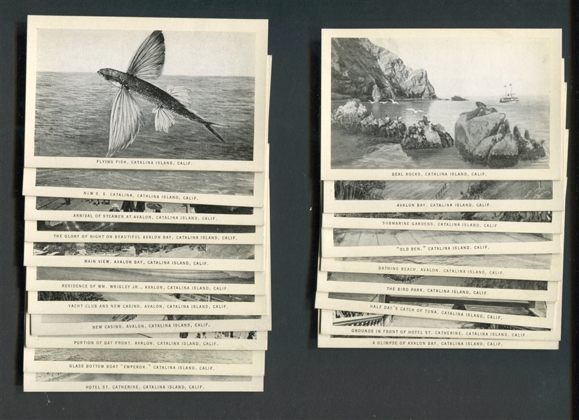 Great Souvenir Views Miniature Views Folder of (20) Catalina Island Images