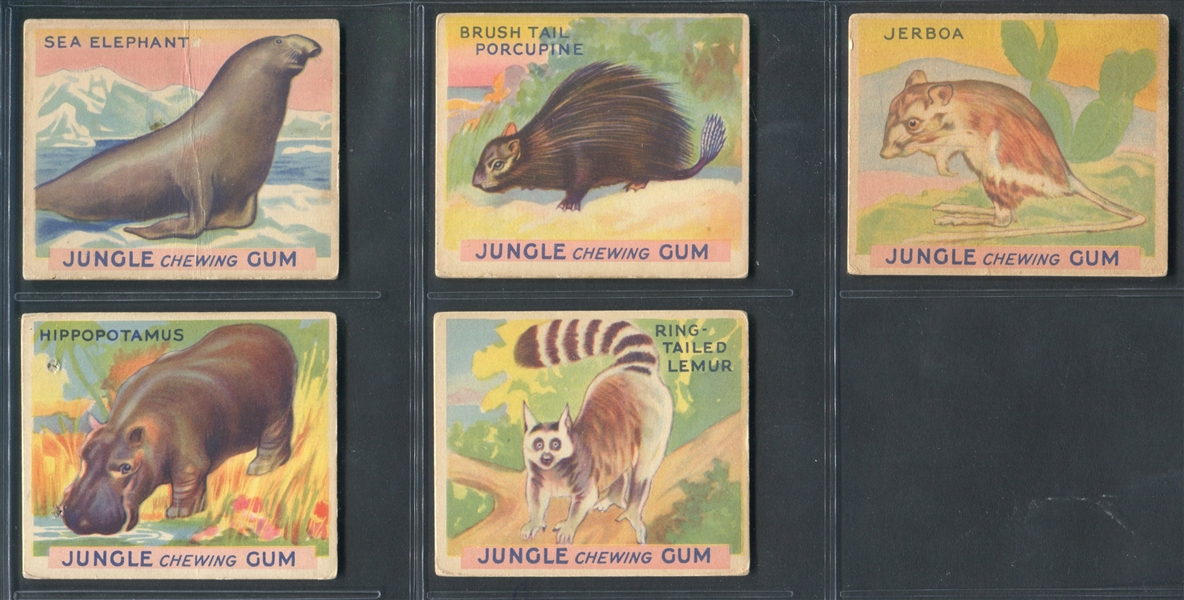 R78 Goudey Jungle Gum Near Complete Set (41/48) Cards