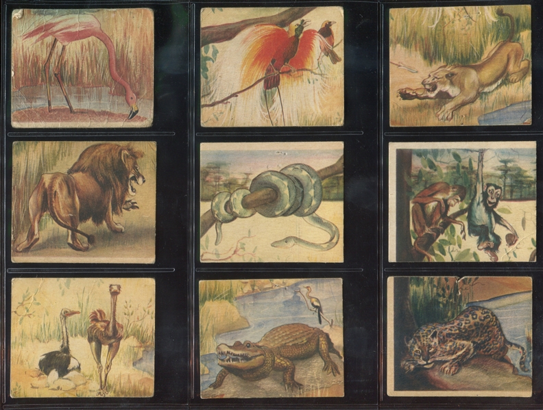 R6 National Licorice African Animal Jig Lot of (9) Cards 