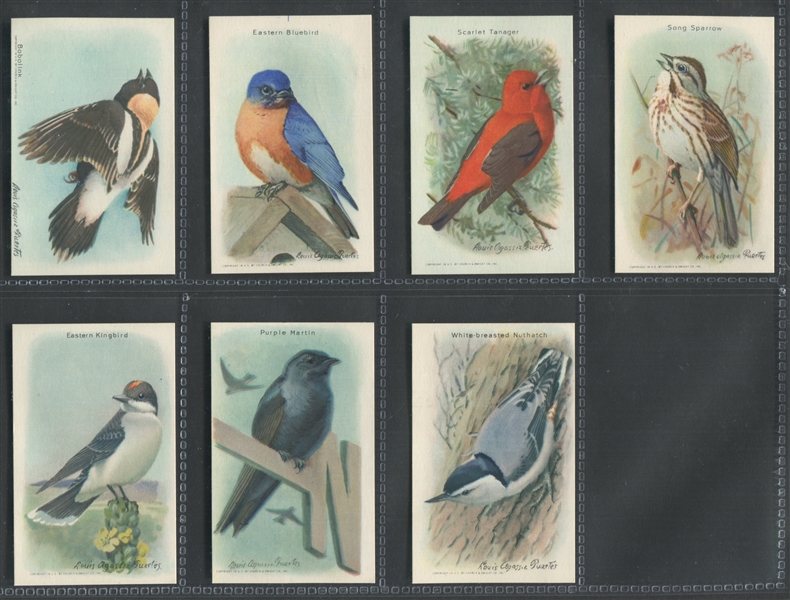 J9-5 Church & Dwight Useful Birds 9th Series Complete Set of (15)