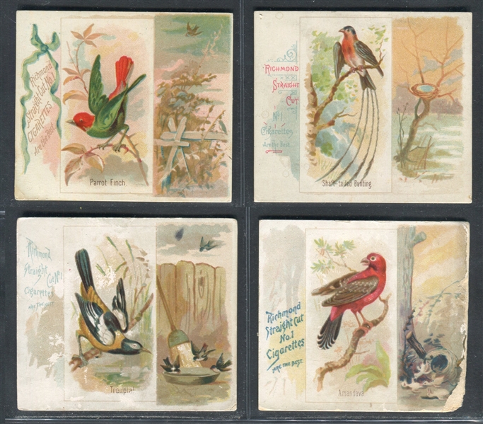 N42 Allen & Ginter Song Birds of the World Lot of (11) Cards