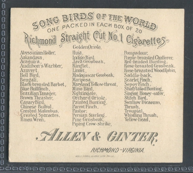 N42 Allen & Ginter Song Birds of the World Lot of (3) Cards