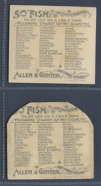 N39 Allen & Ginter Fish From American Waters Lot of (6) Cards