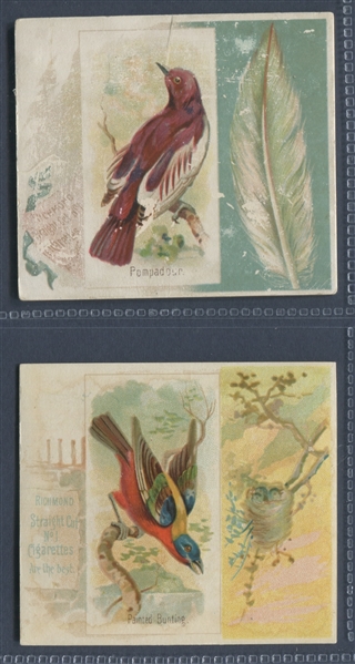 N42 Allen & Ginter Song Birds Lot of (6) Cards