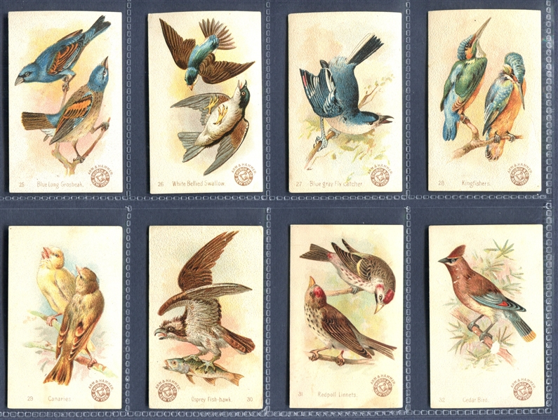 J2 Arm & Hammer Beautiful Birds New Series (AH500) Set of (60) Cards