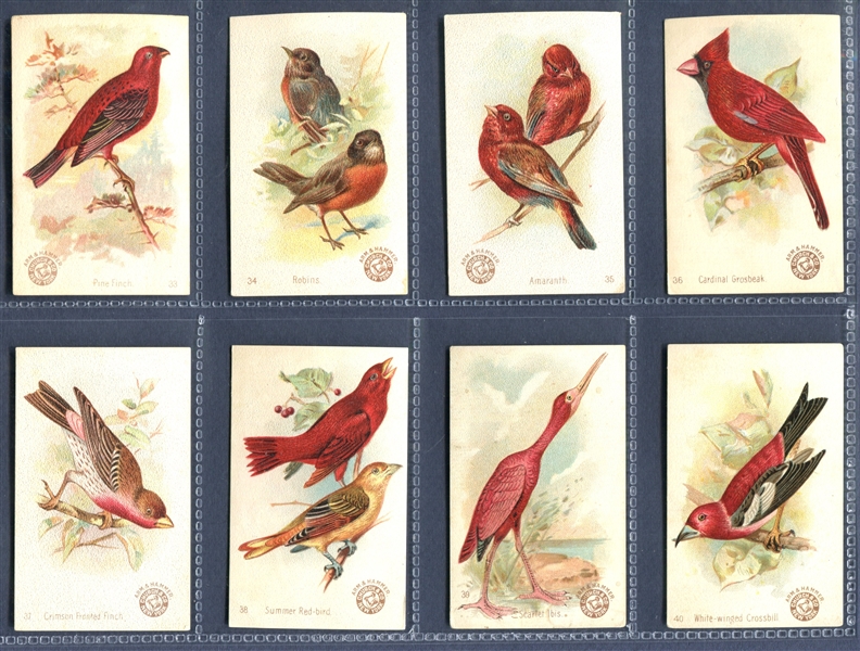 J2 Arm & Hammer Beautiful Birds New Series (AH500) Set of (60) Cards