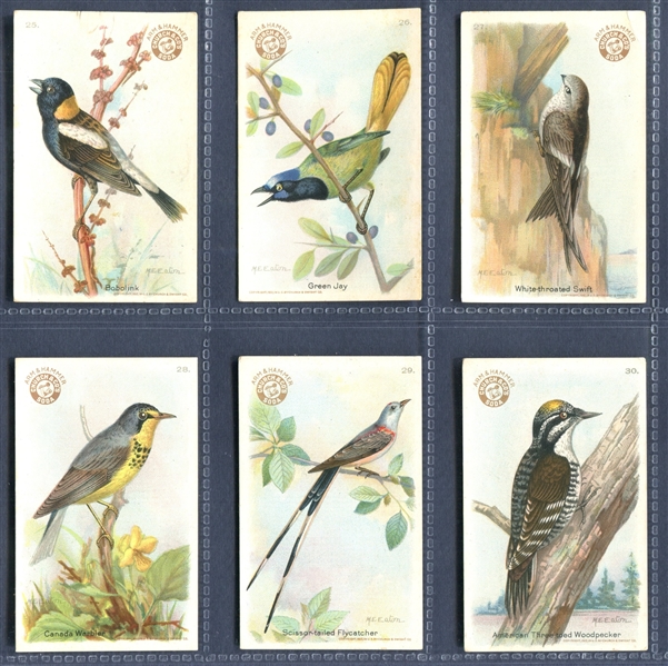 J7 Arm & Hammer Useful Birds (Third Series) (AH2210) Set of (30) Cards