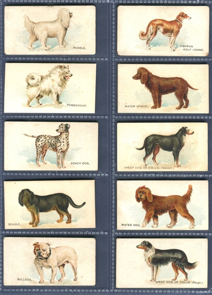 N163 Goodwin Old Judge Dogs Lot of (15) Cards