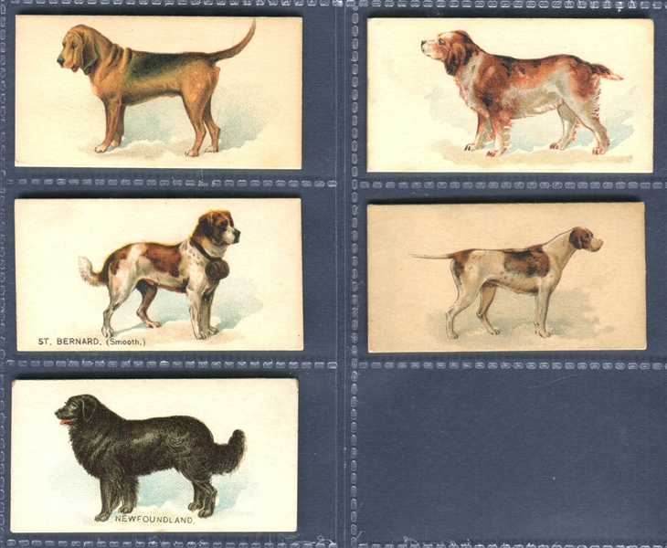 N163 Goodwin Old Judge Dogs Lot of (15) Cards