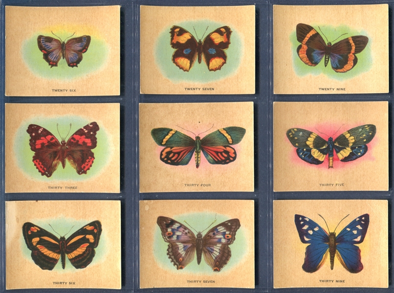 FC2 Harry Horne Butterflies Lot of (24) Cards