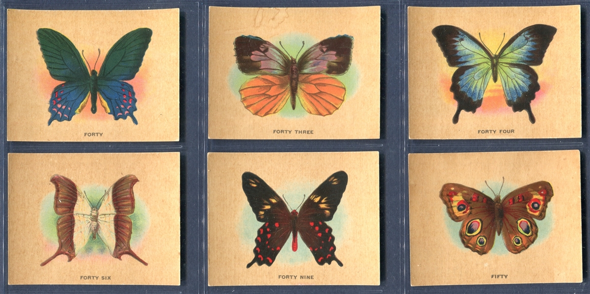 FC2 Harry Horne Butterflies Lot of (24) Cards