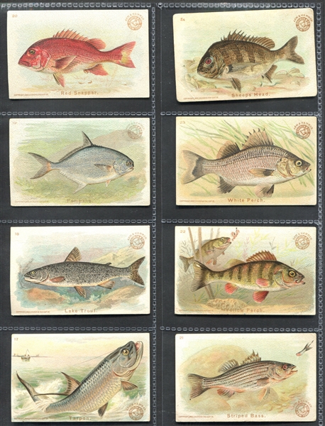 J15 Church & Dwight Fish Series Complete Set of (30) Cards