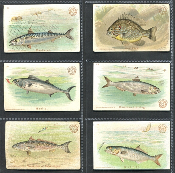 J15 Church & Dwight Fish Series Complete Set of (30) Cards