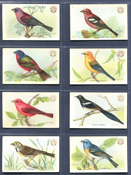 J7 Arm & Hammer Useful Birds (Third Series) (AH2210) Set of (30) Cards