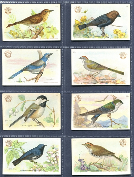 J7 Arm & Hammer Useful Birds (Third Series) (AH2210) Set of (30) Cards