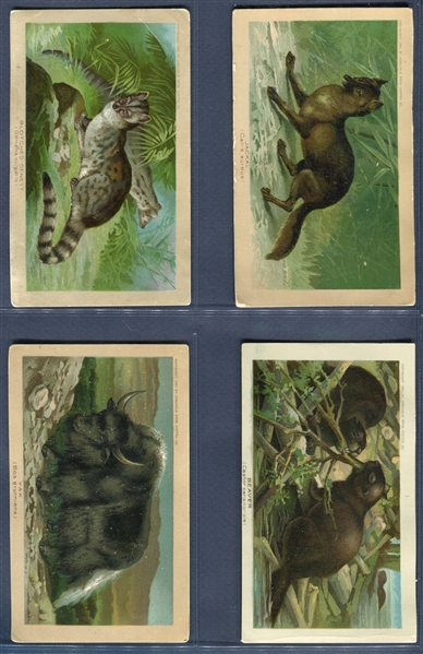 K1 Arbuckle Coffee Animals Complete Set of (50) Cards