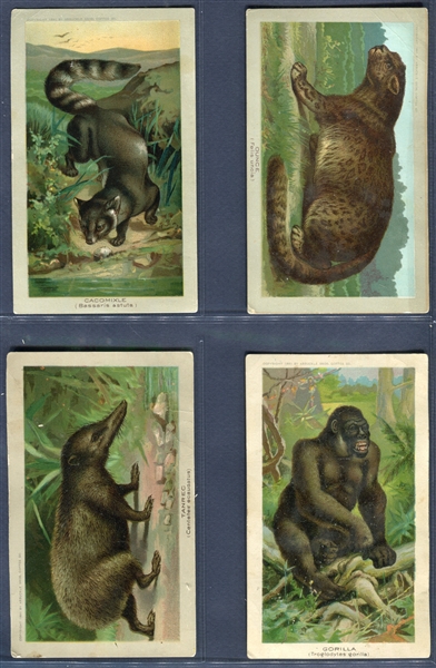 K1 Arbuckle Coffee Animals Complete Set of (50) Cards