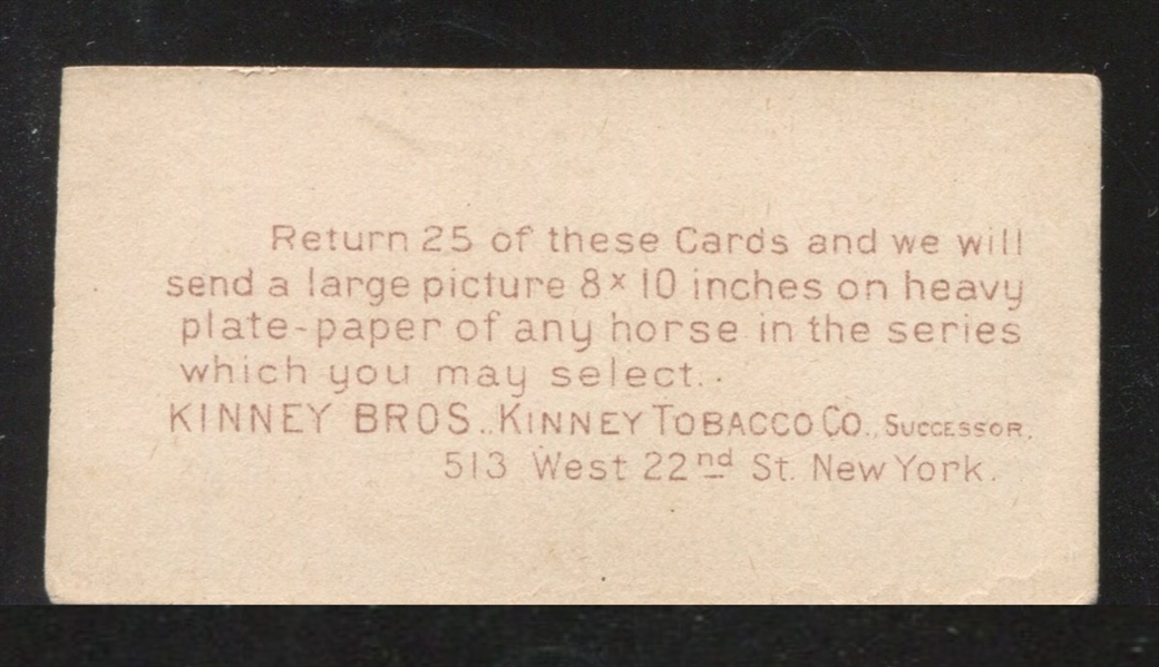 N230 Kinney English Horses - Melton