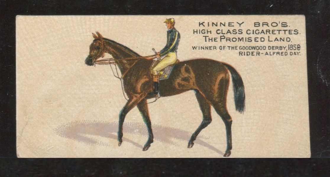 N230 Kinney English Horses - The Promised Land